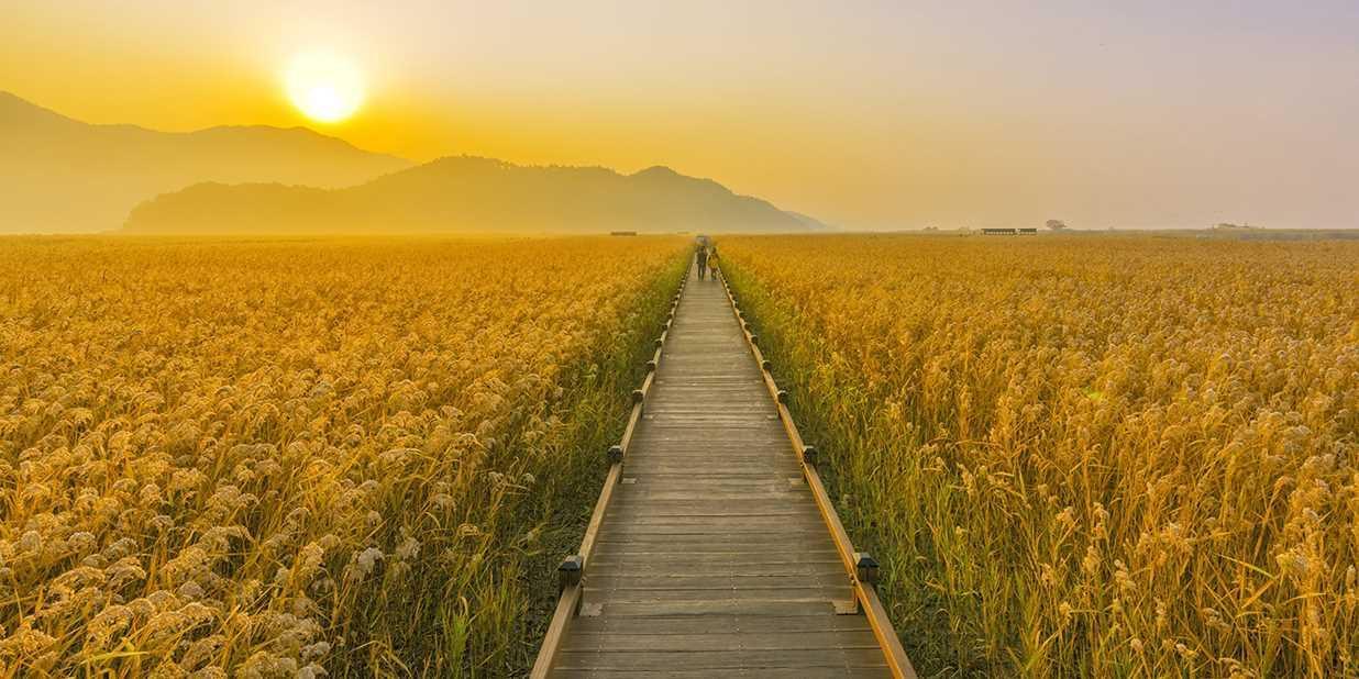 Suncheon in Autumn