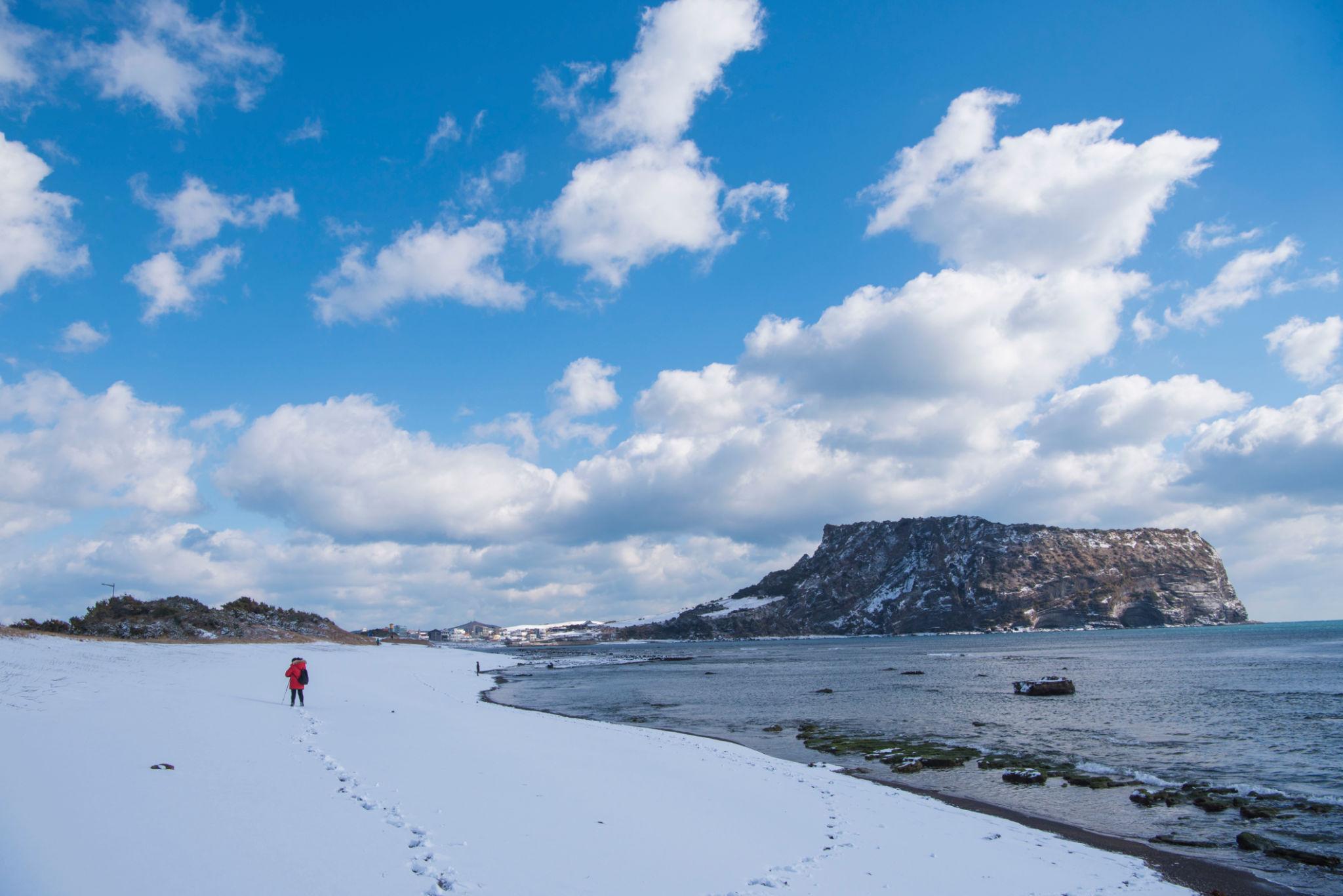 jeju in winter