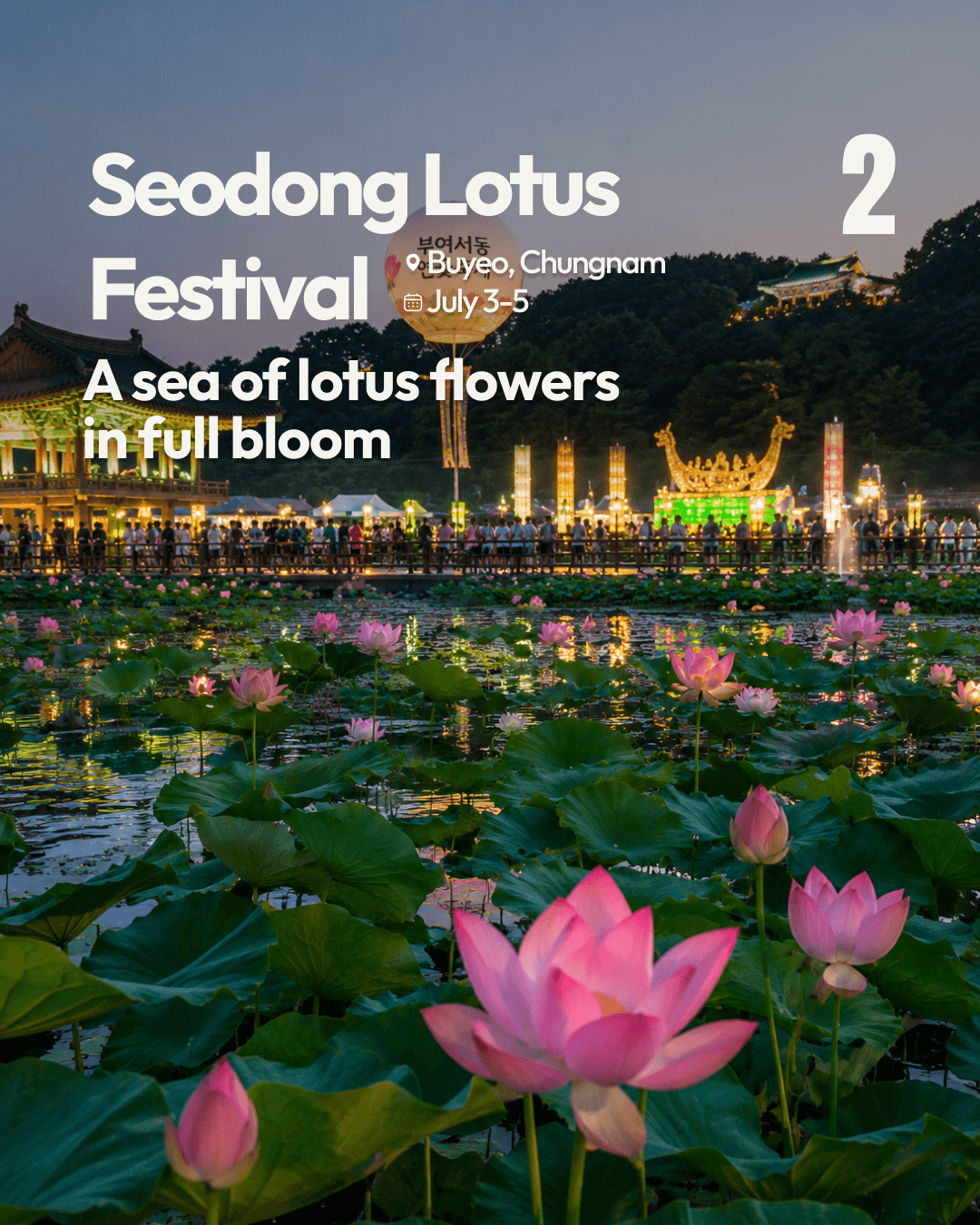 seodong lotus festival