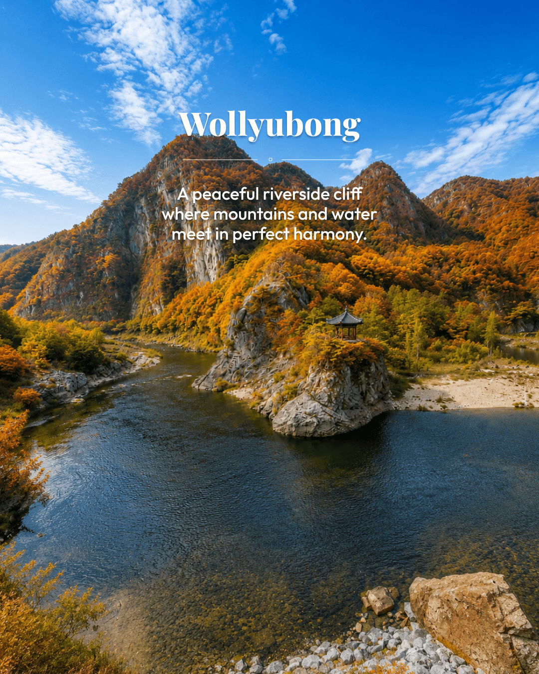 wollyubong
