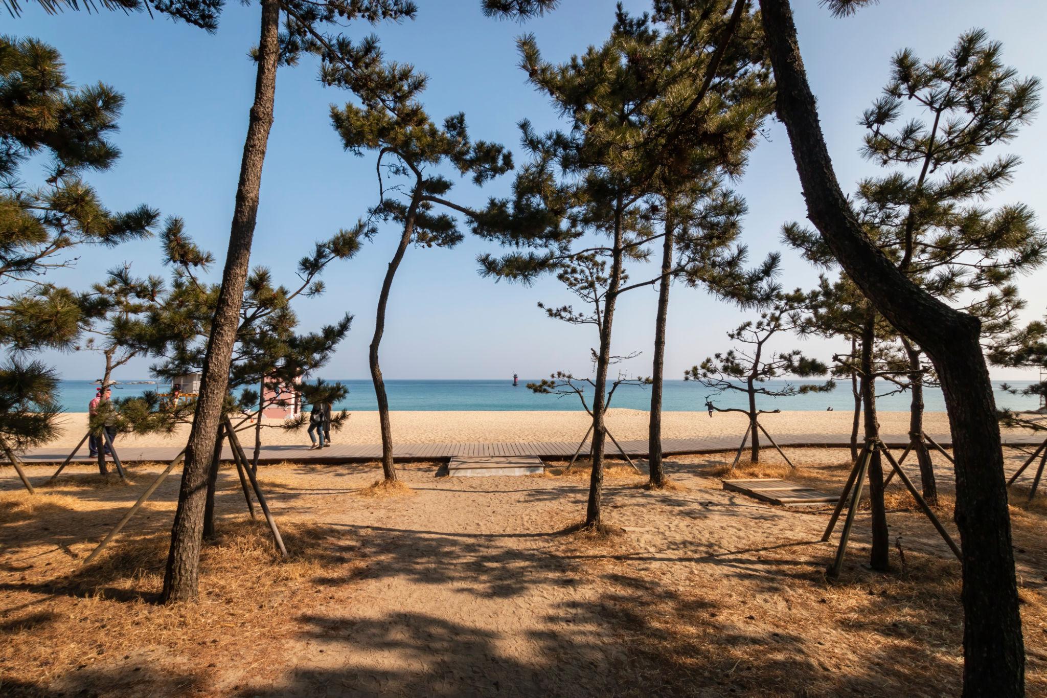 Gangneung